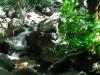 Waterfall #1